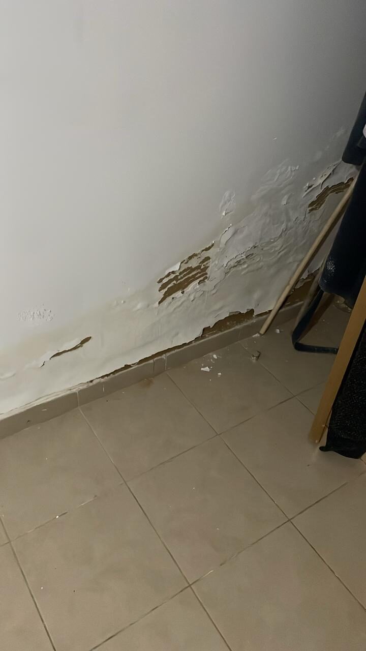 Peinture et enduit décollés au bas d’un mur touché par l’humidité ascensionnelle